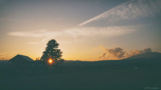 自分自身やその技術を売るのか、仕組みやコンテンツそのものを売るのか。