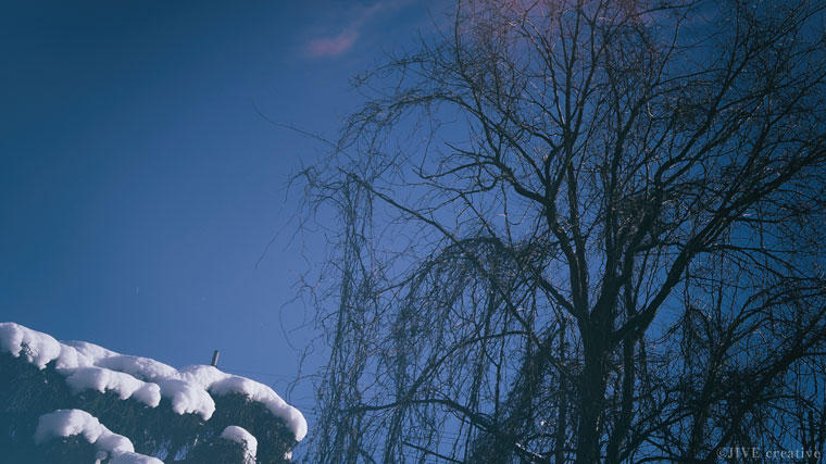 【38週3日】出産予定日まで11日。妊婦健診とまわりの変化。