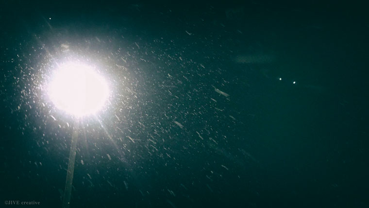 【38週6日】予定日まで8日。加湿機能付き空気清浄機など購入しました。