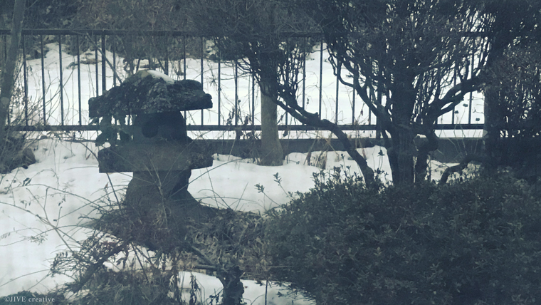 【生後3日(誕生4日目)】新生児黄疸&光線治療と、新生児の涙。