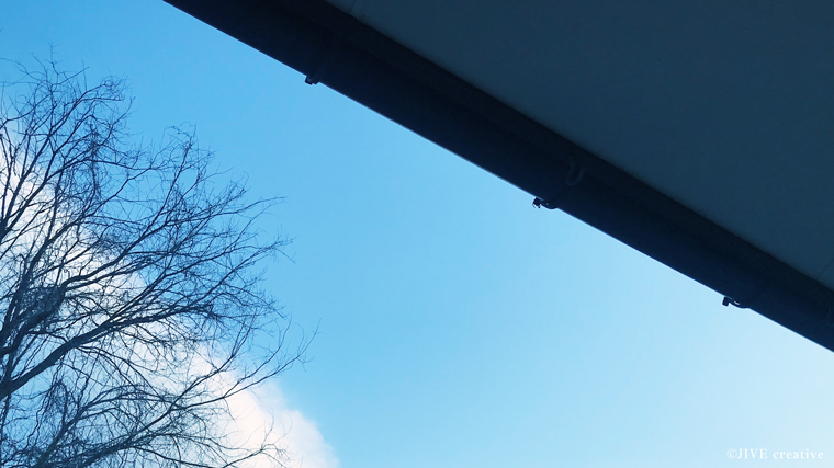 【子育て日記】生後2週間・退院から1週間の新生児の変化